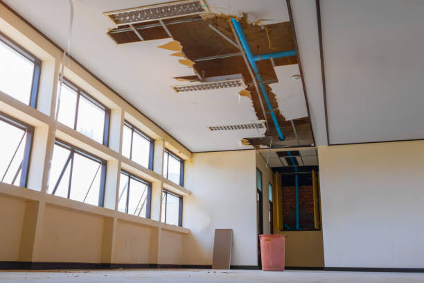 Best Carpet water damage restoration  in Joliet, IL
