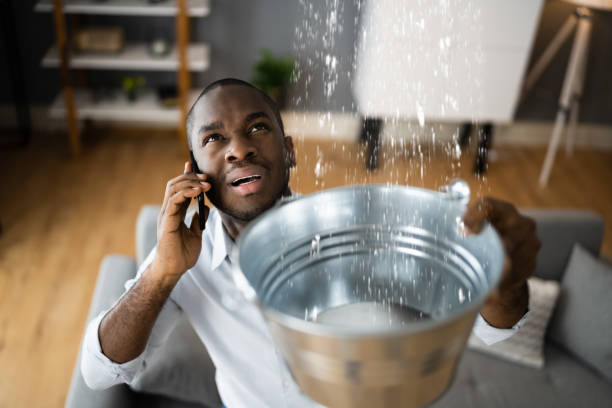Best Water damage contractors near me  in Joliet, IL