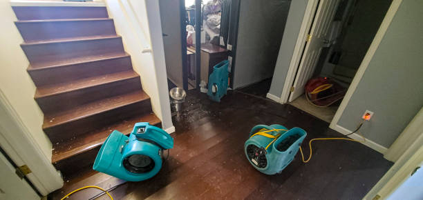 Best Emergency water damage restoration  in Joliet, IL
