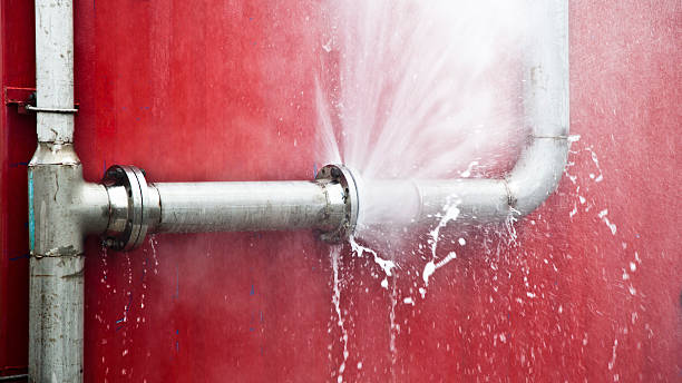Best 24-hour water damage restoration  in Joliet, IL