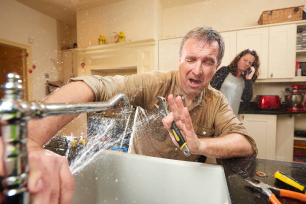 Best Mold removal after water damage  in Joliet, IL